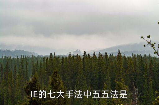 ie七大手法，求解IE的7大手法