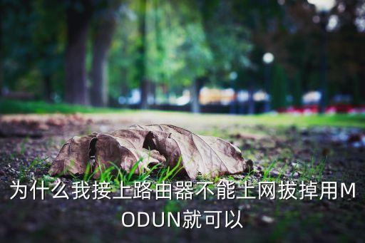 modun，如果有無線路由器不連modun直接插電話插座可以上網(wǎng)嗎