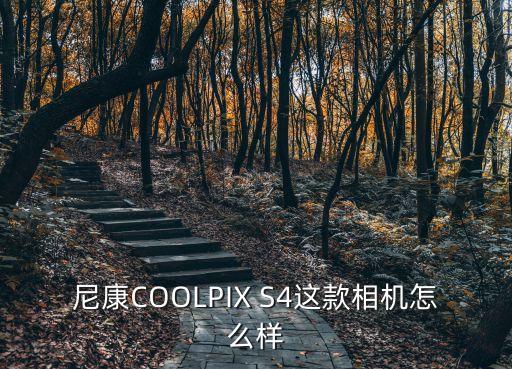 尼康COOLPIX S4這款相機(jī)怎么樣