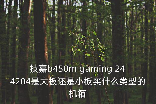 技嘉b450m gaming 244204是大板還是小板買什么類型的機(jī)箱