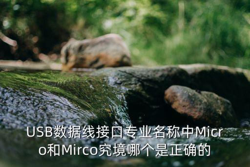 USB數(shù)據(jù)線接口專業(yè)名稱中Micro和Mirco究境哪個(gè)是正確的