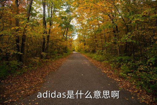 adidas是什么意思啊