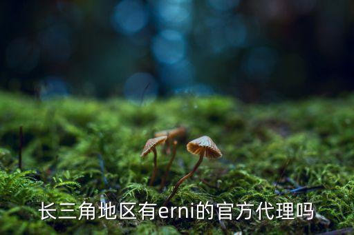 長(zhǎng)三角地區(qū)有erni的官方代理嗎