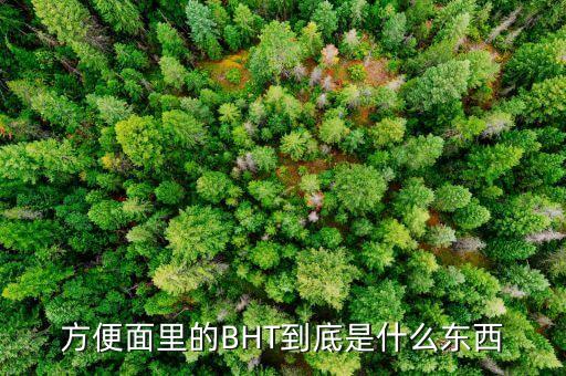 方便面里的BHT到底是什么東西