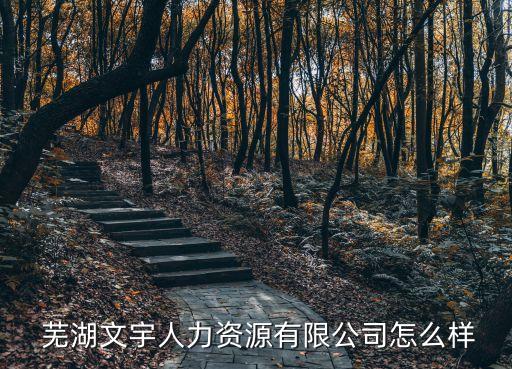  蕪湖文宇人力資源有限公司怎么樣