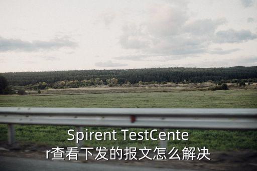 Spirent TestCenter查看下發(fā)的報(bào)文怎么解決