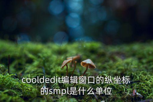 cooldedit編輯窗口的縱坐標(biāo)的smpl是什么單位