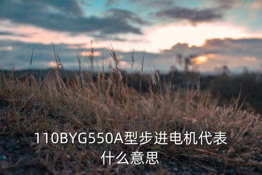 110BYG550A型步進電機代表什么意思