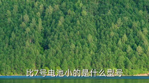 比7號電池小的是什么型號