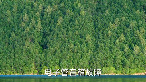 電子管音箱故障