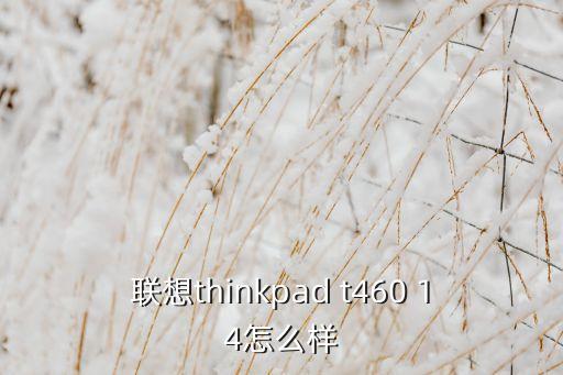 聯(lián)想thinkpad t460 14怎么樣