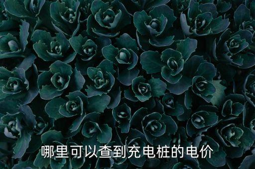 哪里可以查到充電樁的電價