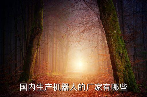 國(guó)內(nèi)生產(chǎn)機(jī)器人的廠家有哪些