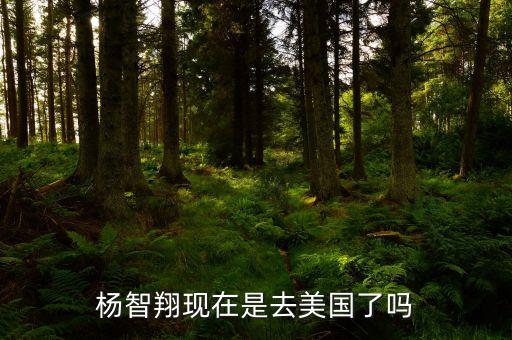 楊智翔現(xiàn)在是去美國了嗎
