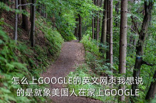 怎么上GOOGLE的英文網(wǎng)頁我想說的是就象美國人在家上GOOGLE