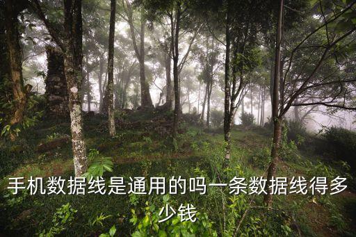 手機數(shù)據(jù)線是通用的嗎一條數(shù)據(jù)線得多少錢