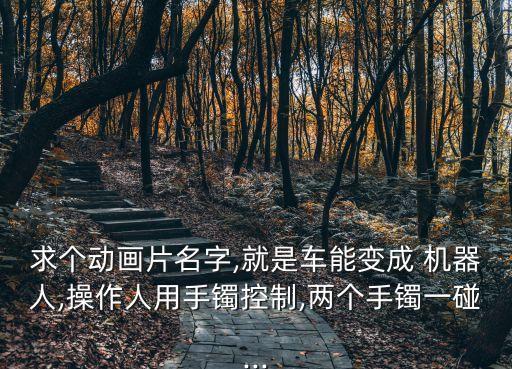 求個(gè)動(dòng)畫片名字,就是車能變成 機(jī)器人,操作人用手鐲控制,兩個(gè)手鐲一碰...
