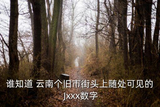 誰知道 云南個(gè)舊市街頭上隨處可見的 Jxxx數(shù)字
