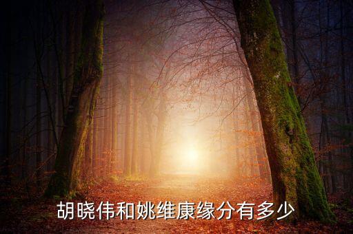胡曉偉和姚維康緣分有多少