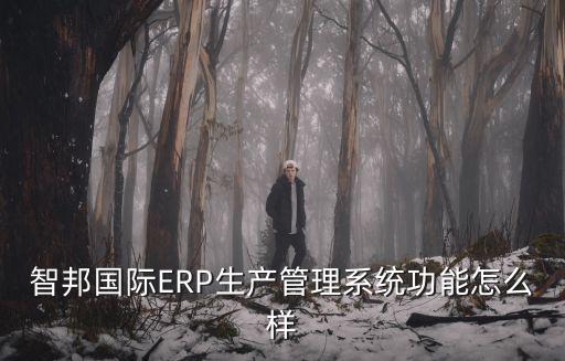 智邦國(guó)際ERP生產(chǎn)管理系統(tǒng)功能怎么樣
