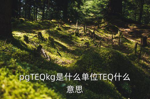 pgTEQkg是什么單位TEQ什么意思