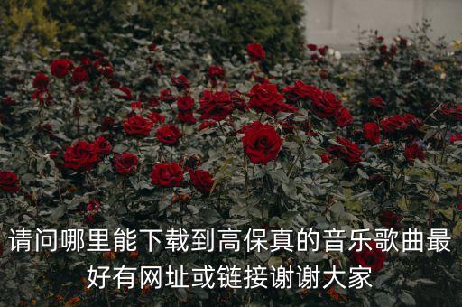 請(qǐng)問(wèn)哪里能下載到高保真的音樂(lè)歌曲最好有網(wǎng)址或鏈接謝謝大家
