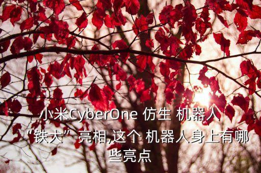 小米CyberOne 仿生 機器人“鐵大”亮相,這個 機器人身上有哪些亮點