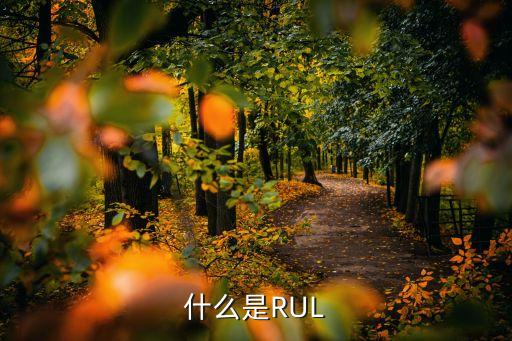 什么是RUL