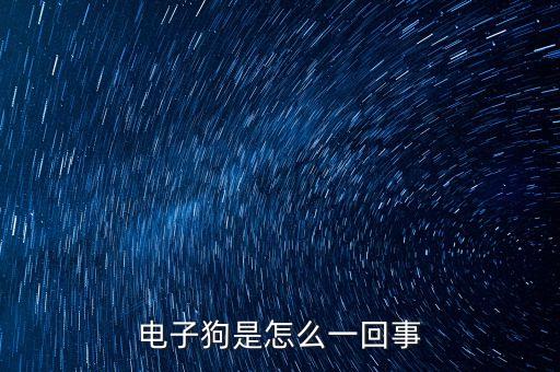 電子狗，什么是電子狗電子狗作用