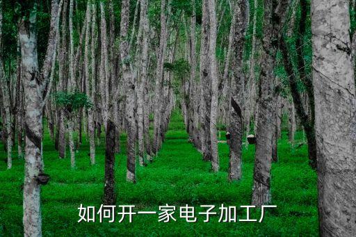 如何開一家電子加工廠