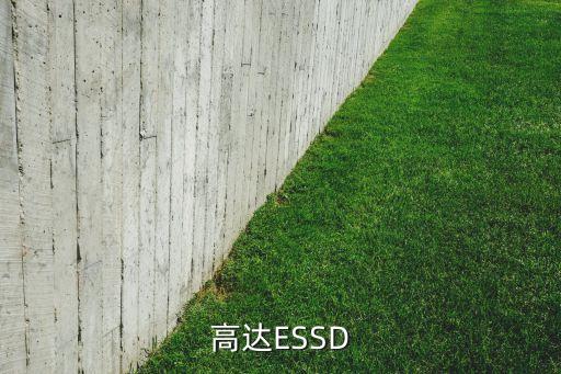 高達(dá)ESSD