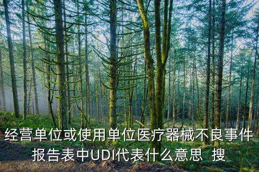經(jīng)營單位或使用單位醫(yī)療器械不良事件報(bào)告表中UDI代表什么意思  搜
