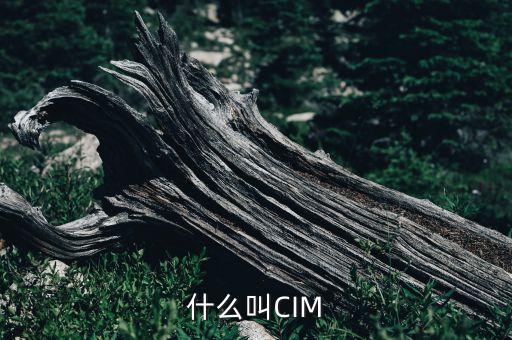 cim平臺，什么叫CIM