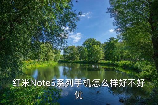 小米note5，小米5和小米note哪個(gè)好