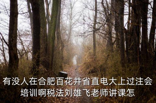 有沒(méi)人在合肥百花井省直電大上過(guò)注會(huì)培訓(xùn)啊稅法劉雄飛老師講課怎