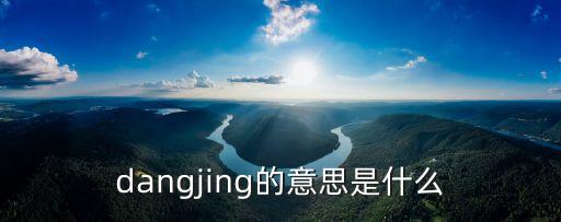 dangjing的意思是什么