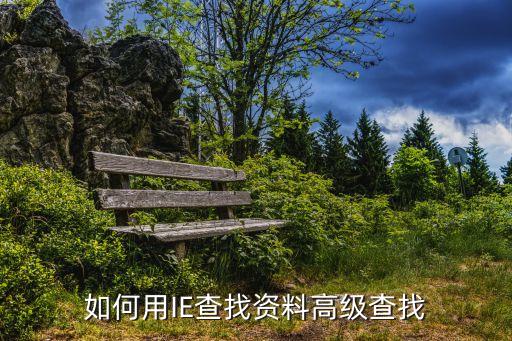如何用IE查找資料高級(jí)查找