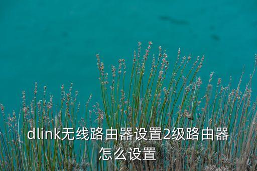 dlink無線路由器設(shè)置2級路由器怎么設(shè)置