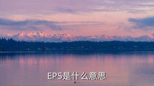 EPS是什么意思