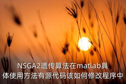 nsga2，NSGA2算法