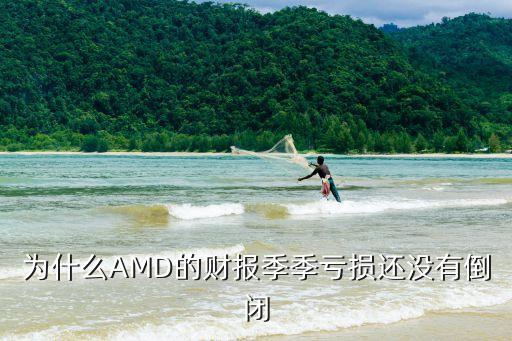 amd財(cái)報(bào)，在哪里可以找到IBM英特爾AMD類(lèi)似這些大公司的財(cái)報(bào)