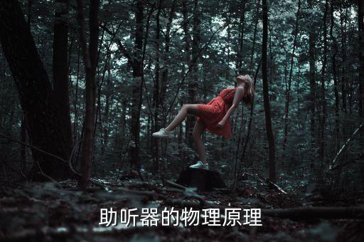 助聽(tīng)器的物理原理