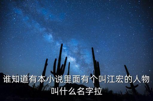 誰知道有本小說里面有個叫江宏的人物叫什么名字拉