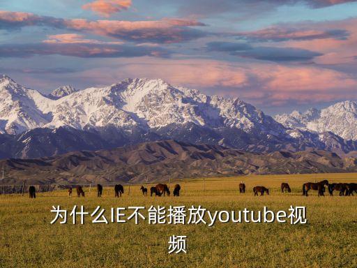 為什么IE不能播放youtube視頻