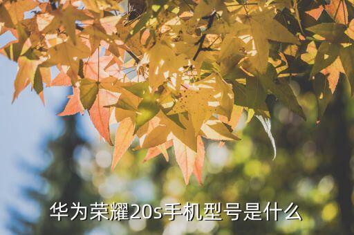 榮耀20s，榮耀20s華為nova5z華為nova5ipro哪個(gè)更好一些