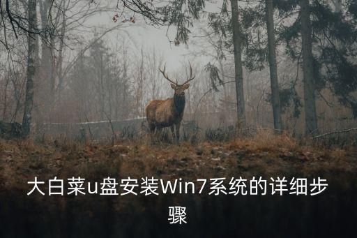 大白菜u盤安裝Win7系統(tǒng)的詳細步驟