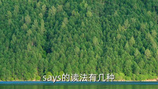 says的讀法有幾種