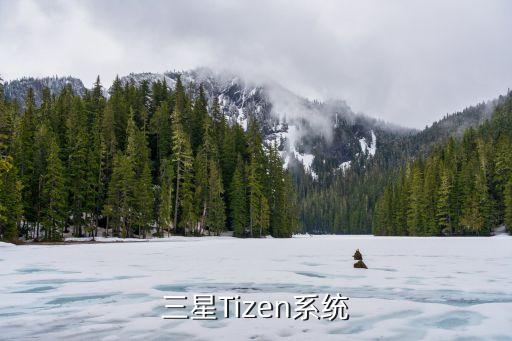 三星Tizen系統(tǒng)