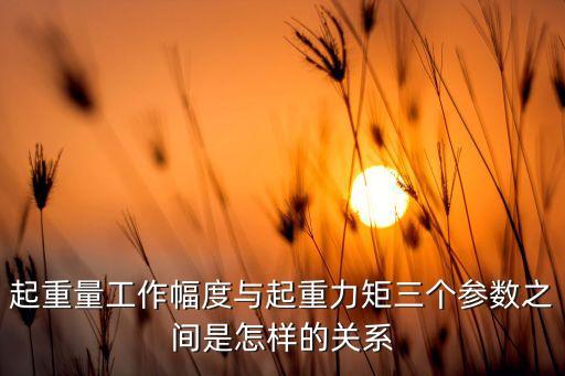 起重量工作幅度與起重力矩三個參數(shù)之間是怎樣的關(guān)系
