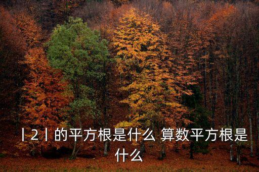 丨2丨的平方根是什么 算數(shù)平方根是什么